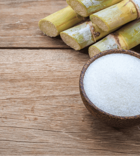 Cane Sugar By-Product: A Cornerstone to Fermentation Biotechnology