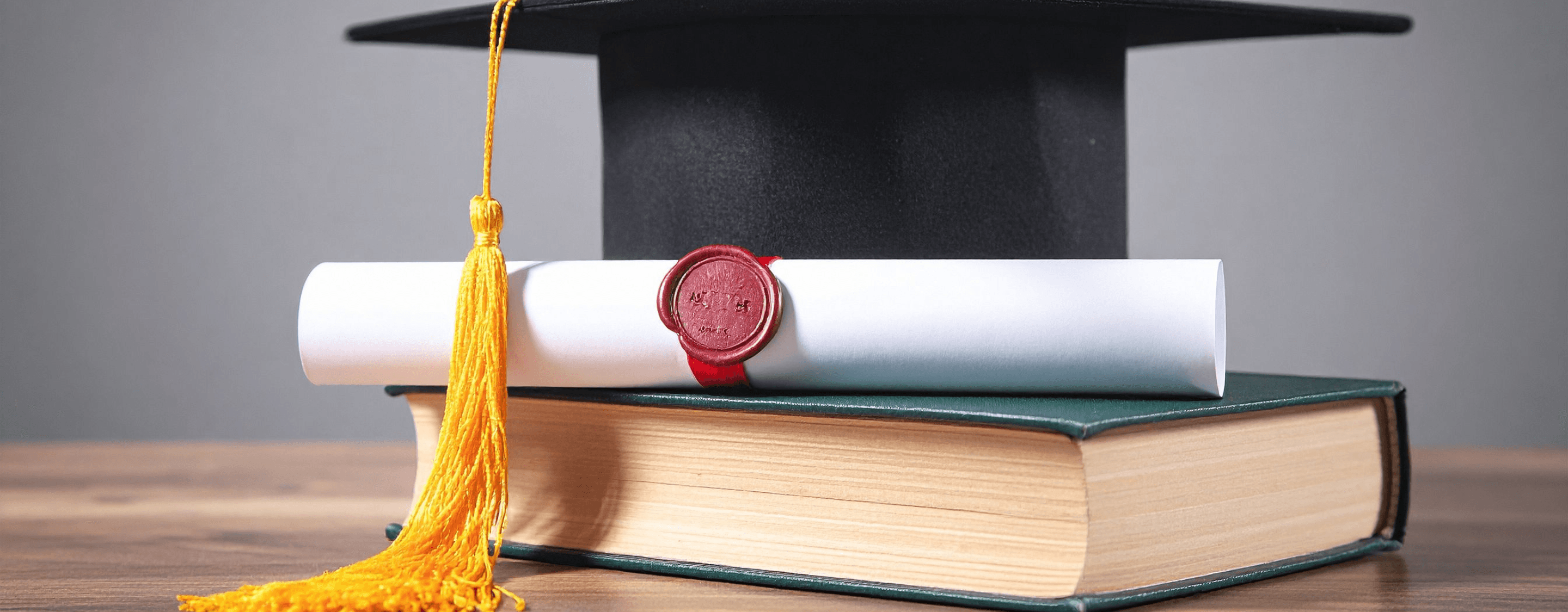 What Is a PhD Degree? A Complete Guide