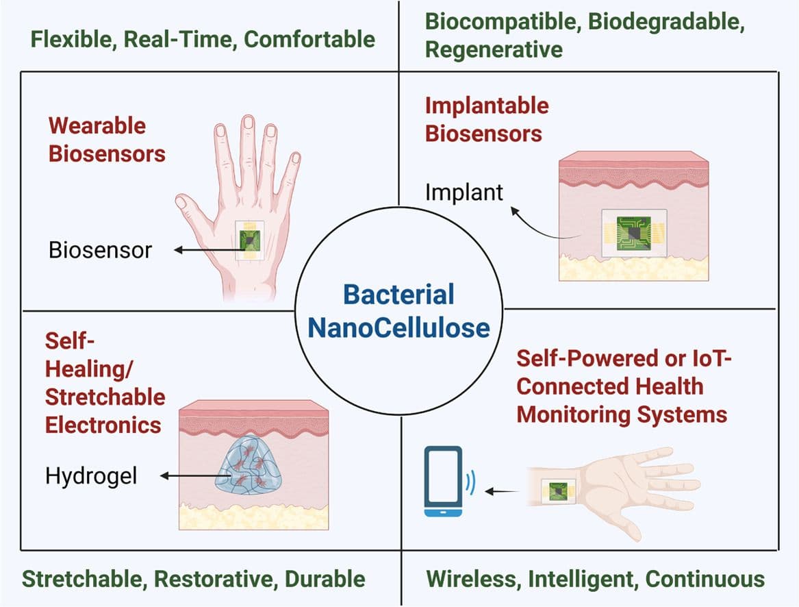 Dr. Balamurugan Balusamy Co-Authors Research Paper in Q1 Journal on Smart Bioelectronics for Biosensing