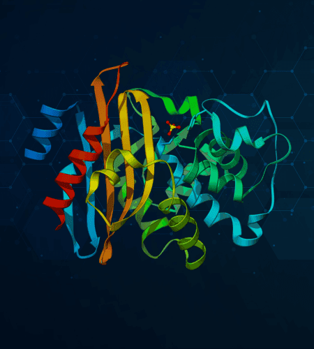 Investigating the Presence of β-Lactamase Genes in UAE’s Marine Environment