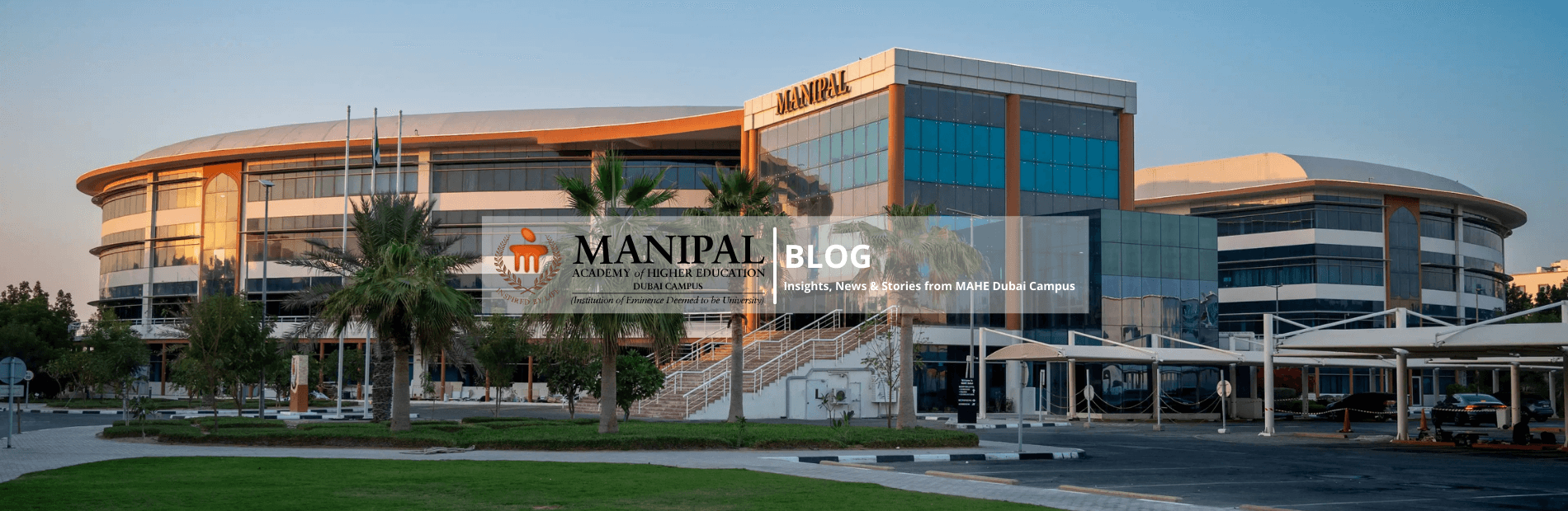 Chartered Accountant: Role, Skills, and Academic Pathway