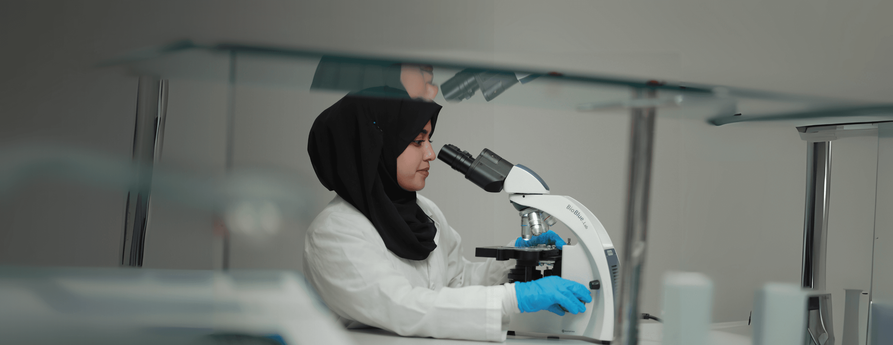 MSc - Molecular Biology & Human Genetics