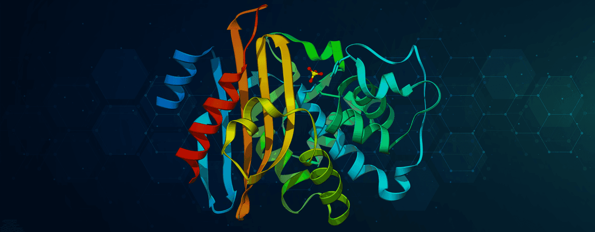 Investigating the Presence of β-Lactamase Genes in UAE’s Marine Environment