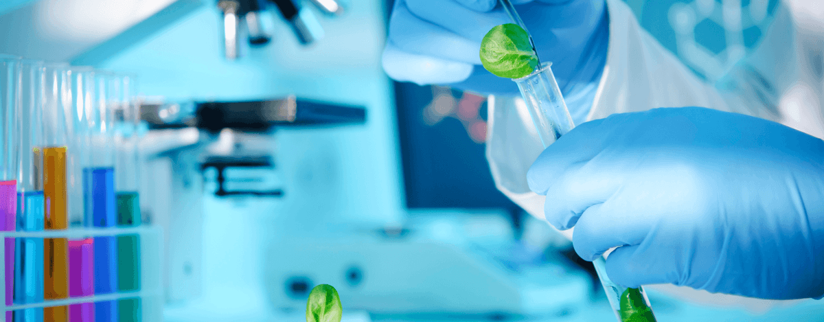 What Is a Biotechnology Course? A Complete Guide