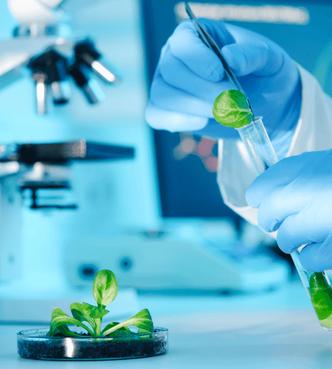 What Is a Biotechnology Course? A Complete Guide