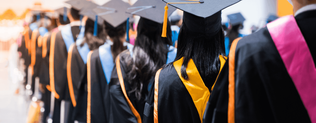What Is an Honours Degree? A Complete Guide