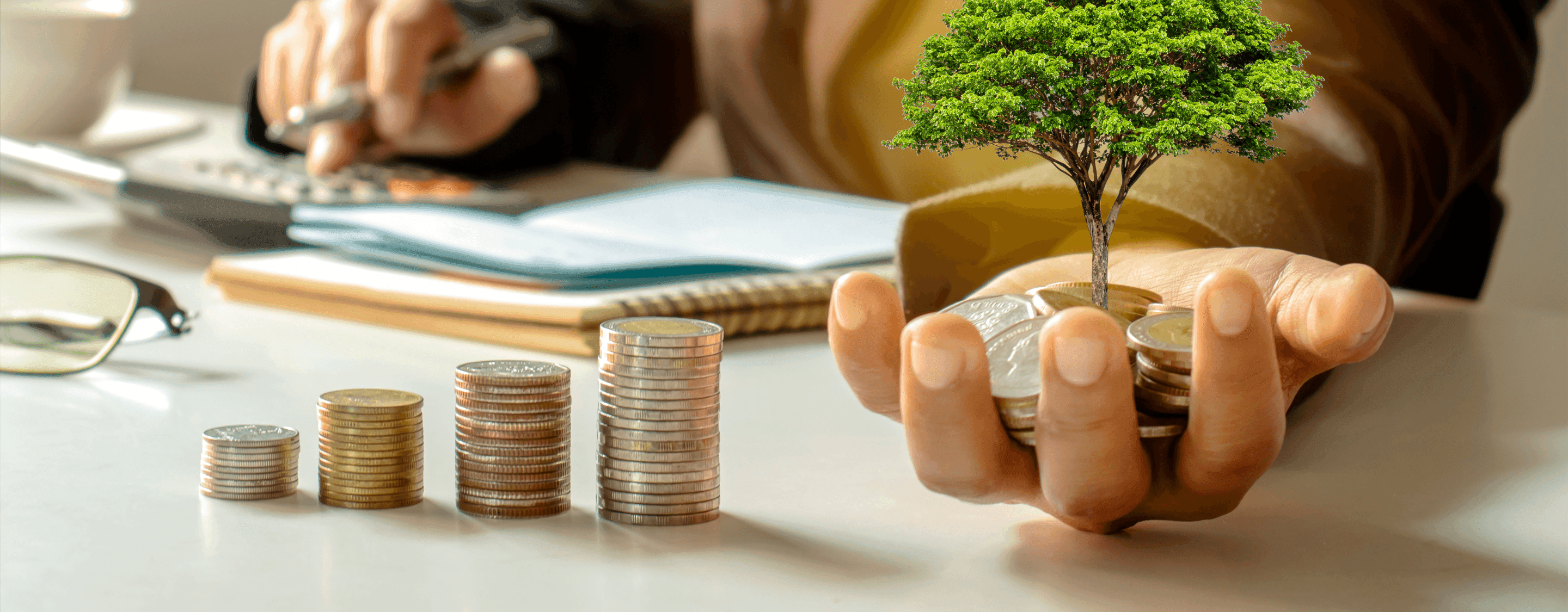 How to Become an Investment Banker After University